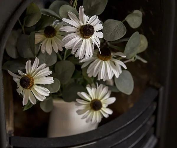 Сasa de vacaciones North Ashpine Dublín