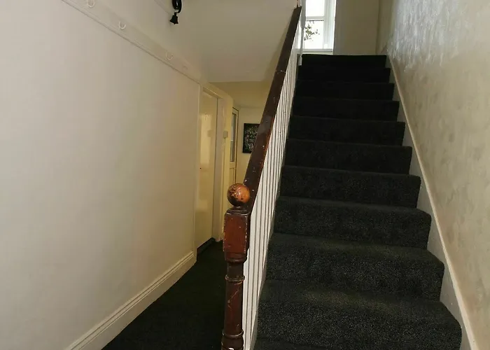 North Ashpine * Dublín