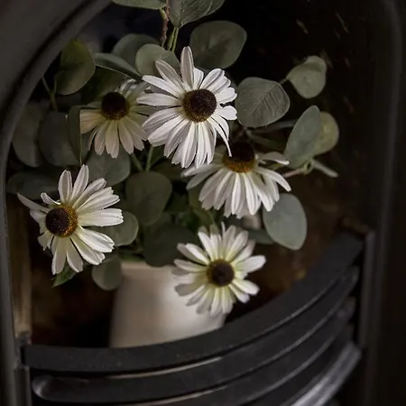 Hébergement de vacances North Ashpine Dublin